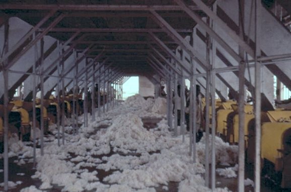  - Pakwach_Cotton_Processing_01